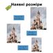 Пазл "Діснейленд США" Розмір M